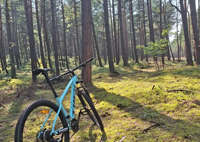 多莫克博德格拉巴米民宿 民宿 格但斯克