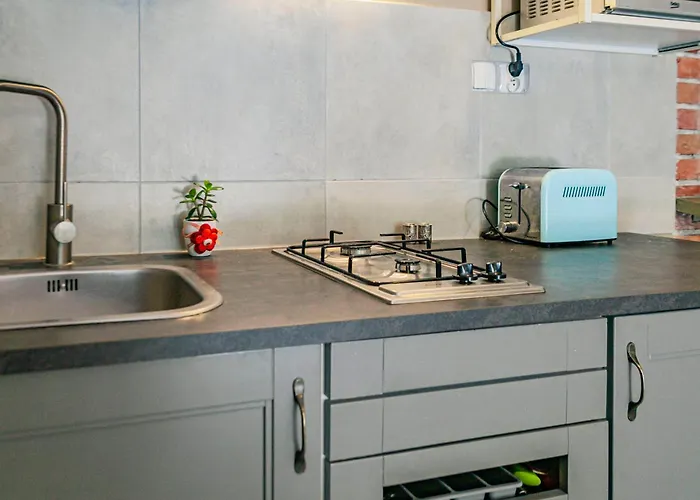 多莫克博德格拉巴米民宿 民宿 *